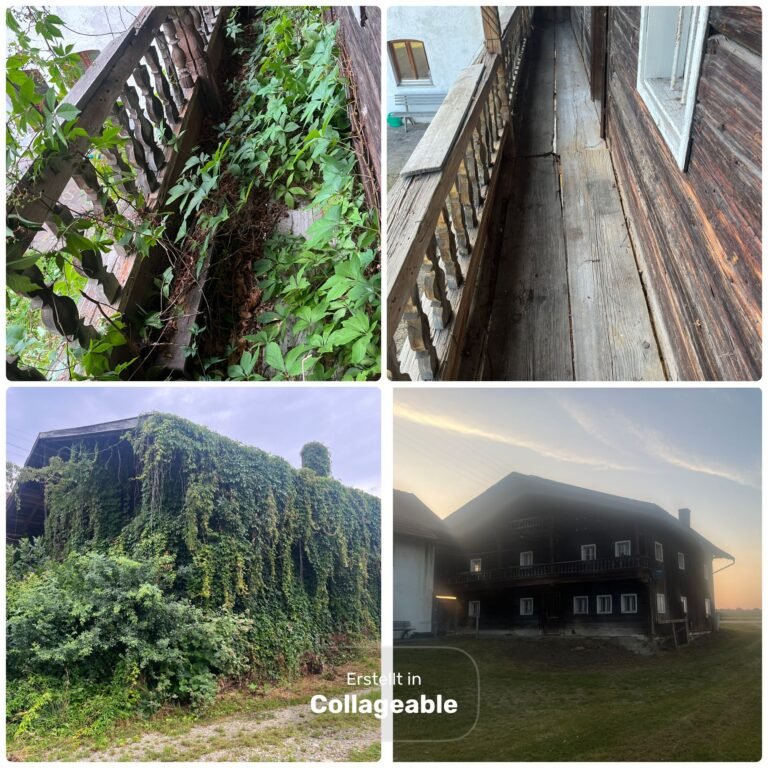 WhatsApp Image 2025-09-09 at 14.45.34 (1)