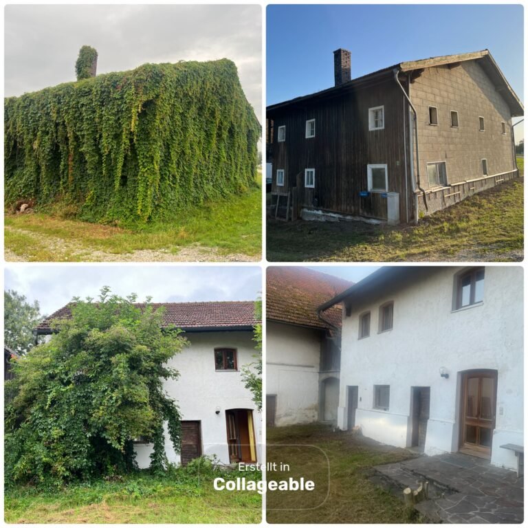 WhatsApp Image 2025-09-09 at 14.45.34