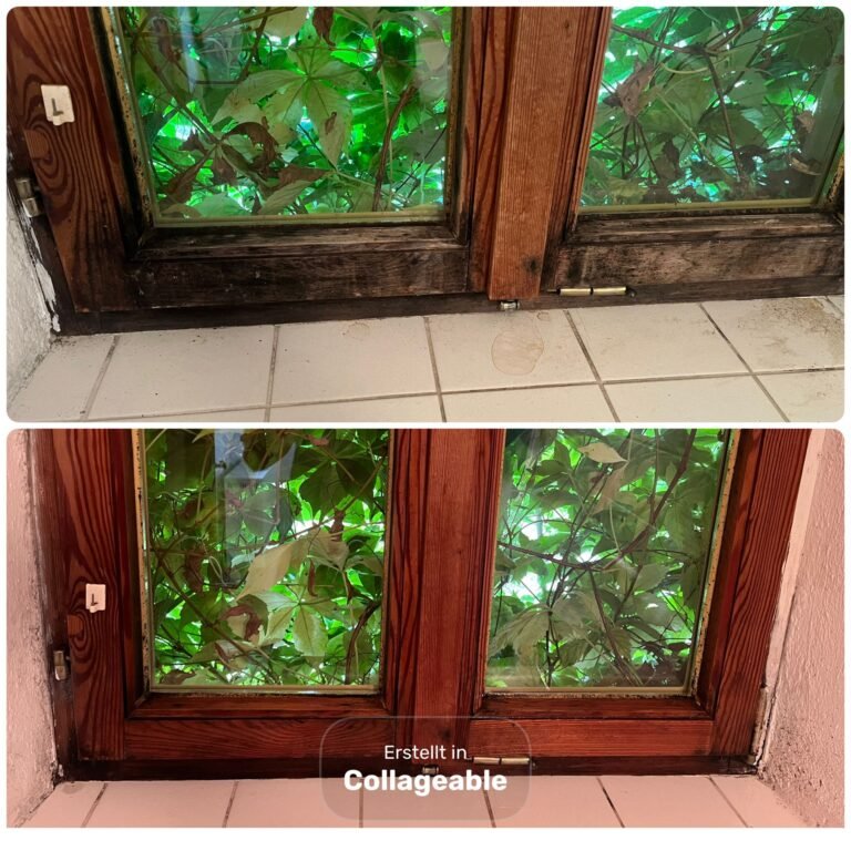 WhatsApp Image 2025-09-09 at 14.45.35 (3)